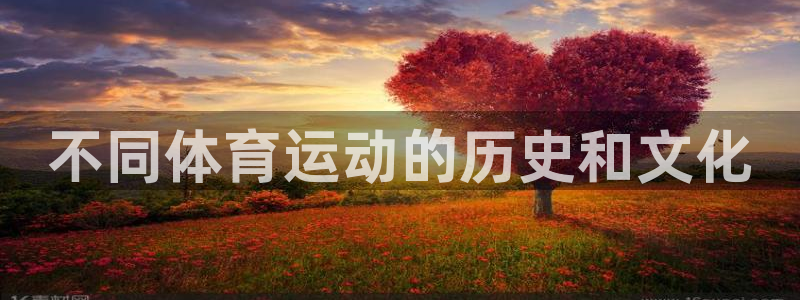 尊龙官网下载平台注册要钱吗:不同体育运动的历史和文化